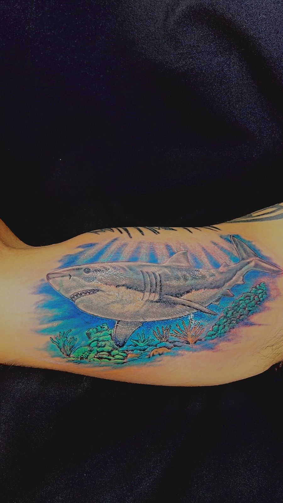 Tatuagem 15